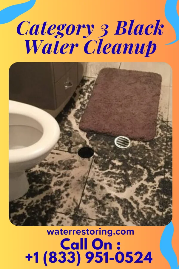 Category 3 Black Water Cleanup in Archie, MO