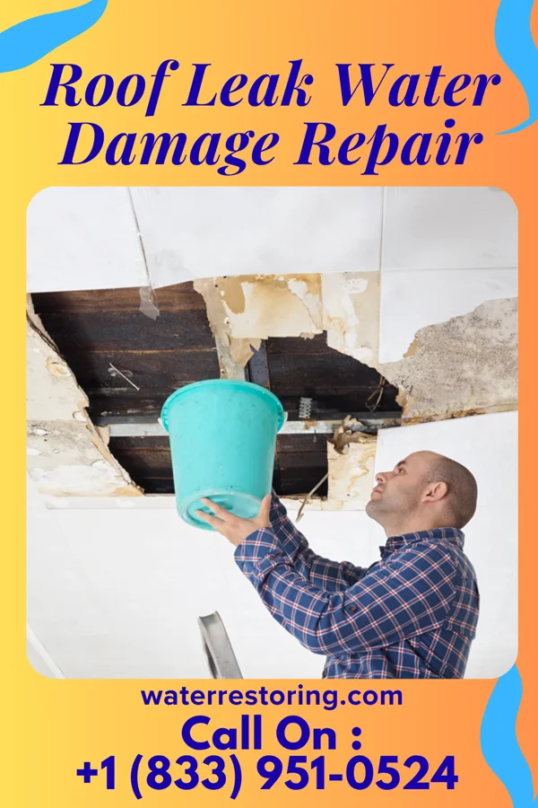 Roof Leak Water Damage Repair in Archie, MO